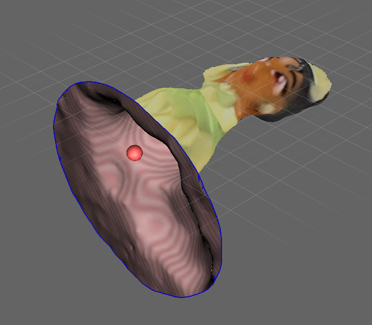 A 3D scan of a princess toy showing what it looks from the inside.