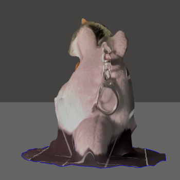 The backside of my Totoro plushie keychain.