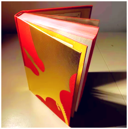 This book is one I read with my younger sister, 'Impossible Creatures'. I liked the dramatic lighting.